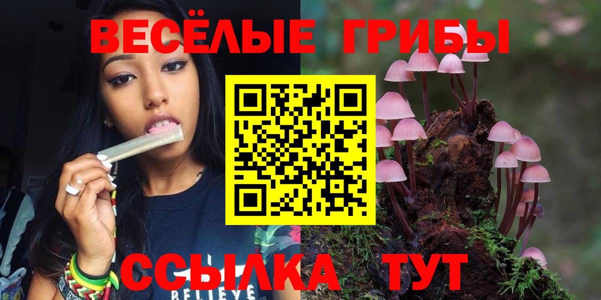 Псилоцибиновые грибы MAGIC MUSHROOMS Рассказово