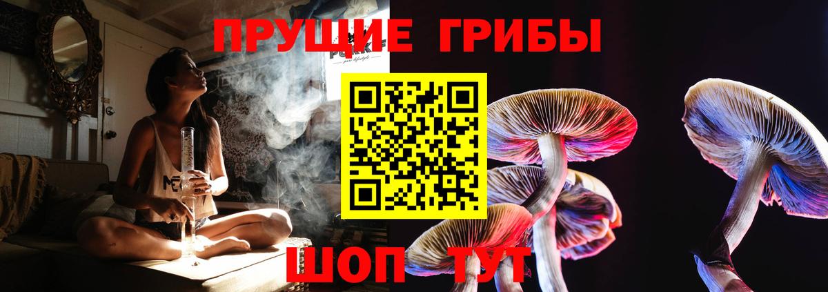 Псилоцибиновые грибы прущие грибы  Псилоцибиновые грибы ЛСД  Вход с VPN  Рассказово 